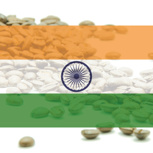 KÁVA INDIA - Plantation AA "Bababudangiri" - 100% arabika