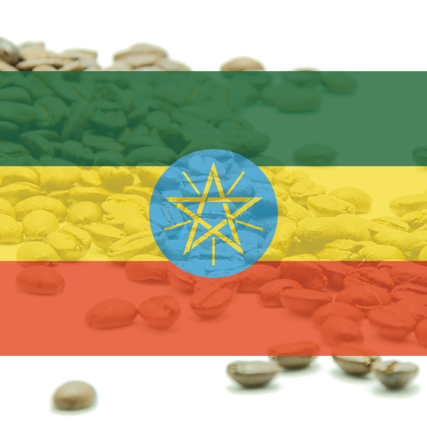 KÁVA ETIÓPIA - Sidamo Gr.2 - 100% arabika