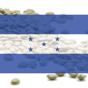 KÁVA HONDURAS -  SHG EP - 100% arabika 