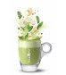 Matcha Latte & Ženšeň