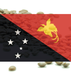 KÁVA Papua New Guinea - 100% arabika